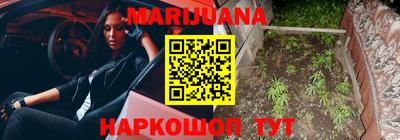 индика Пугачёв