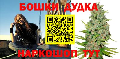 индика Пугачёв
